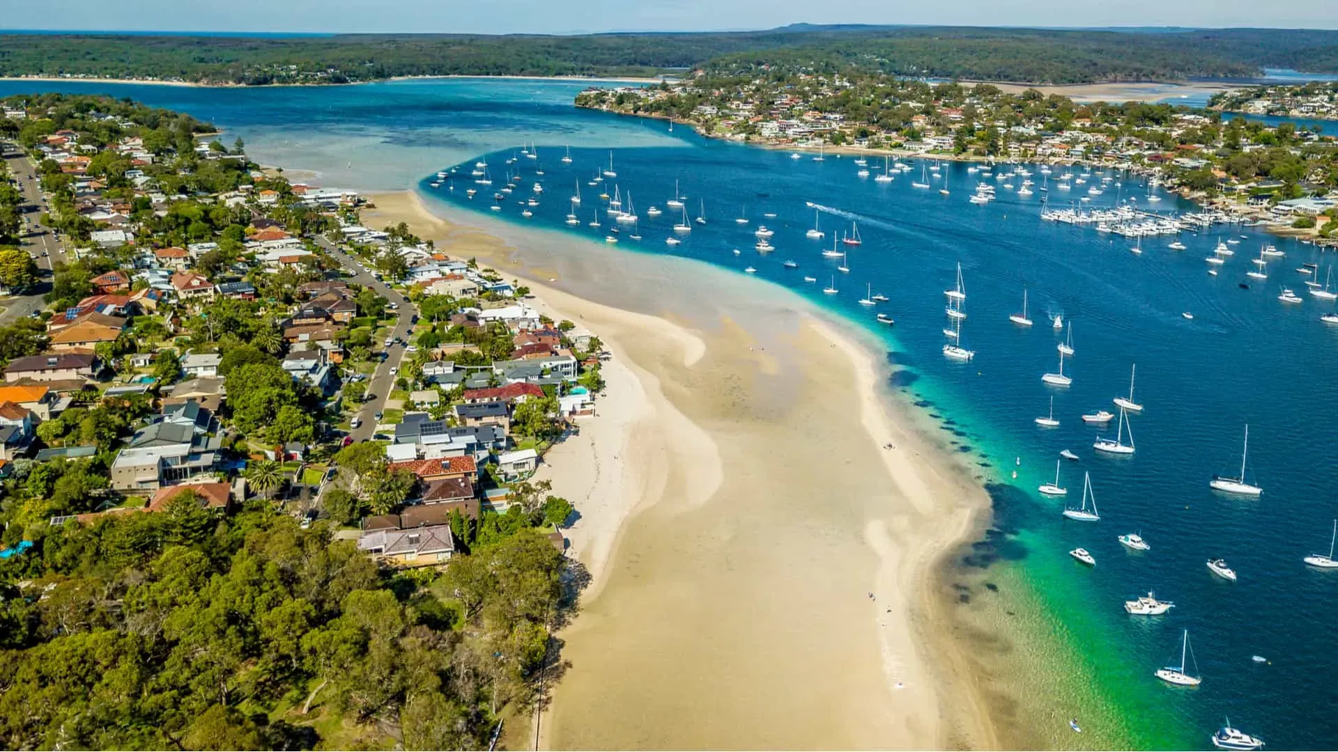 Sutherland Shires Coast Line, featuring lots of trees that contribute to gutter debris
