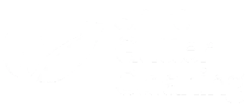 Shire Gutter Cleaning