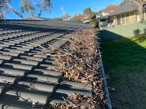 A gutter before being cleaned by the Shire Gutter Cleaning team